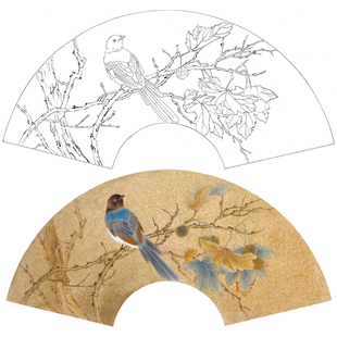 【大彩图】张建军工笔画白描底稿扇面小品绶带鸟临摹花鸟线稿A344