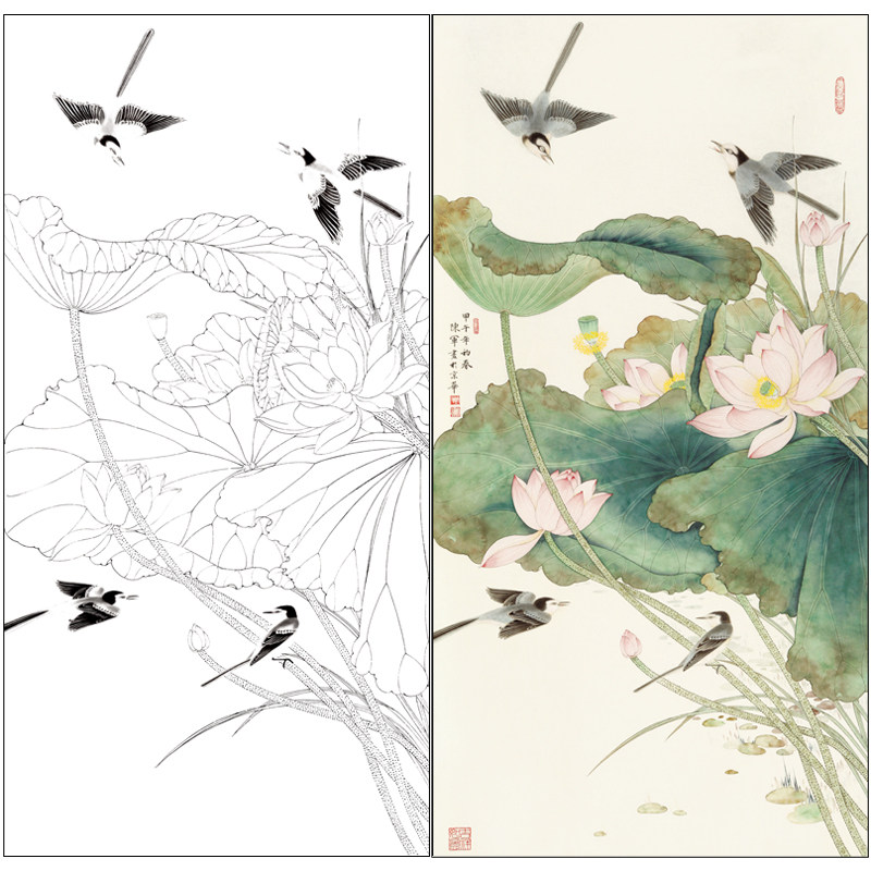 【有步骤】陈军工笔画白描底稿荷花鹡鸰鸟图四尺《花间鸣唱》cj03