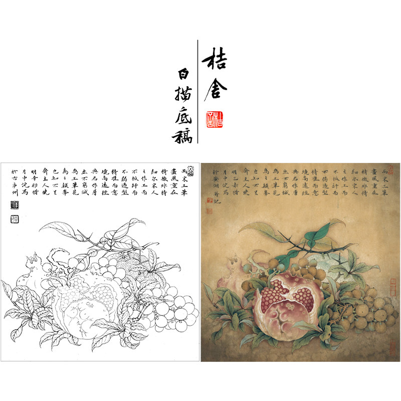 【有步骤,大彩图】工笔画白描稿石榴小品《临宋吉祥多子图》k057