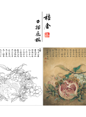 【有步骤、大彩图】工笔画白描稿石榴小品《临宋吉祥多子图》K057