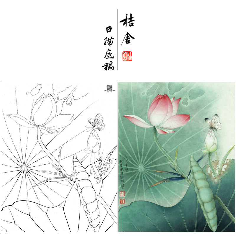 【大彩图】李晓明工笔画白描底稿《白蝶粉荷》荷花花鸟线稿K081