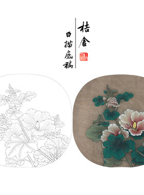 【有步骤、大彩图】李晓明工笔画白描底稿小品《临宋蜀葵图》KG13