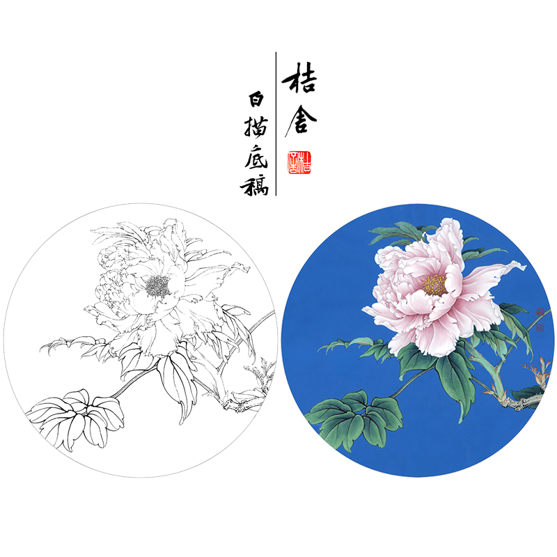 【有步骤、大彩图】工笔画白描底稿《胜葛巾》牡丹花鸟线稿KG20