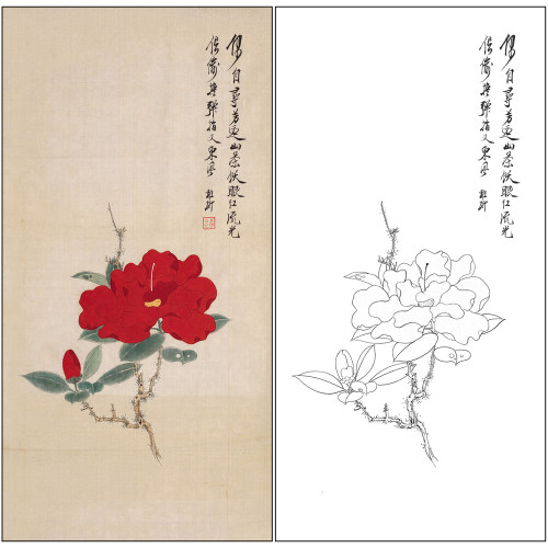 谢稚柳花鸟工笔画白描底稿《山茶花》临摹勾线高清打印稿XZ60
