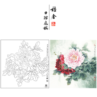 【有步骤、大彩图】李晓明工笔画白描底稿牡丹图《江东双娇》KD26