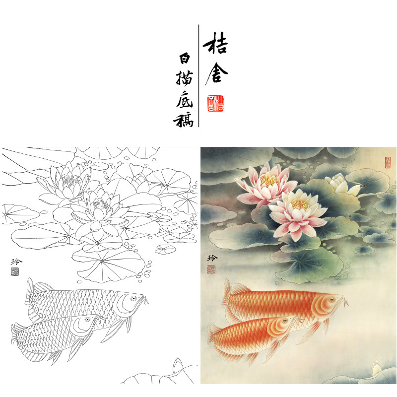 【有步骤,大彩图】郑玲玲工笔画白描底稿荷花鲤鱼《双龙图》zl45
