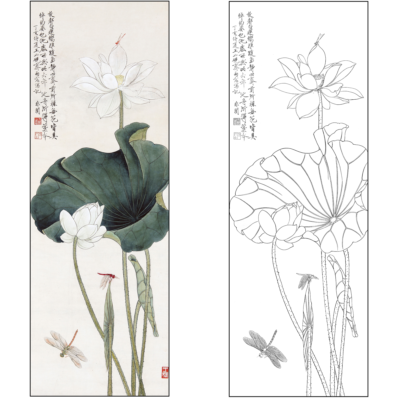 工笔画白描底稿于非闇花鸟荷花《白荷蜻蜓》临摹高清打印稿FA47