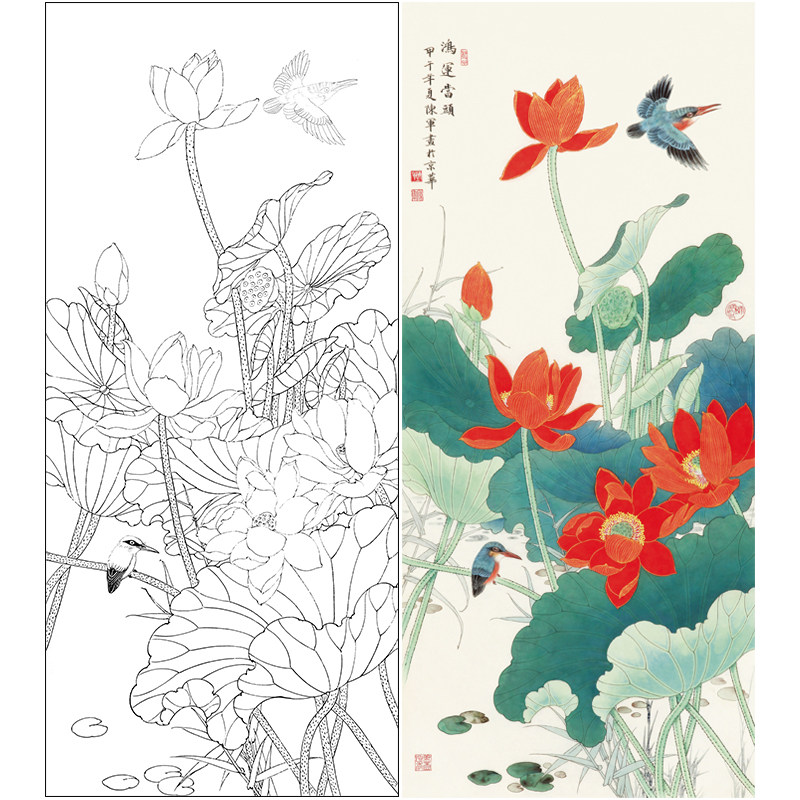 【有步骤,大彩图】工笔画白描底稿《鸿运当头》荷花花鸟线稿cj02