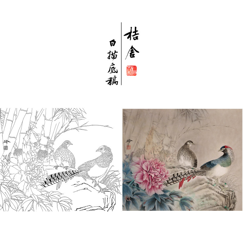 【有步骤,大彩图】郑玲玲工笔画白描稿竹林锦鸡《林间依恋》zl61