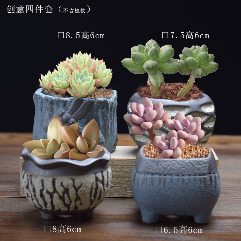 粗陶多肉盆创意小盆高端透气盆