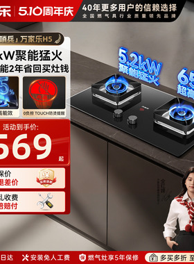 万家乐H5家用燃气灶厨房嵌入式煤气灶天然气液化气双灶猛火AY8