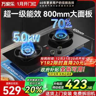 万家乐AY6高热效率燃气灶双灶嵌入天然气煤气灶台式 灶具家用C2T1