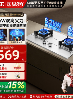 万家乐H5Pro(G)不锈钢燃气灶双灶台天然液化气灶嵌入煤气家用AY8G