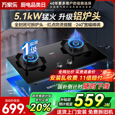 万家乐5.1kW燃气灶双灶新品