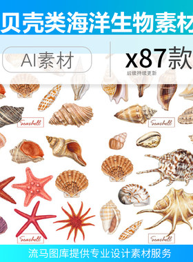 贝壳海螺海星海洋生物静物元素手绘插画芯ai矢量平面设计素材图集
