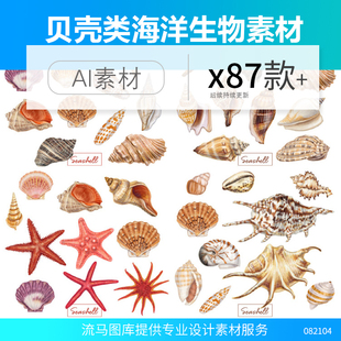 贝壳海螺海星海洋生物静物元素手绘插画芯ai矢量平面设计素材图集