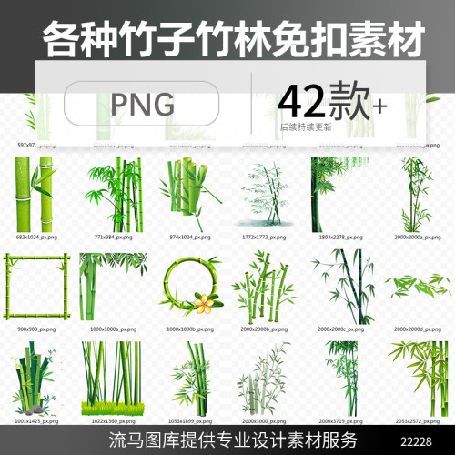 42款创意时尚真实手绘竹子竹林小清新意境插画PNG免扣高清素材图