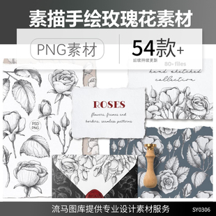 速绘素描玫瑰花图案花框框架花朵花瓣树叶四方背景PNG高清素材图