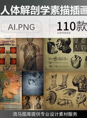 手绘素描风格创意医学医疗人物解剖大脑内脏插画AI矢量PNG素材图