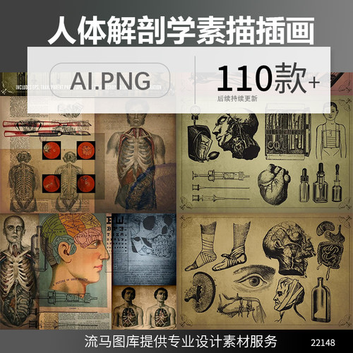 手绘素描风格创意医学医疗人物解剖大脑内脏插画AI矢量PNG素材图