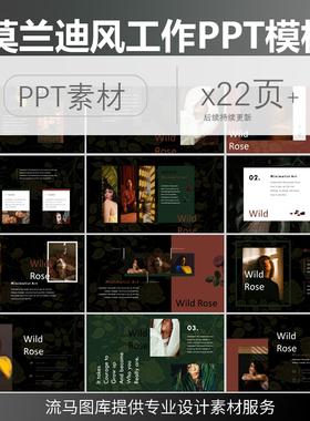 国外欧美莫兰迪风格简约杂志工作总结产品作品商业计划书PPT模板