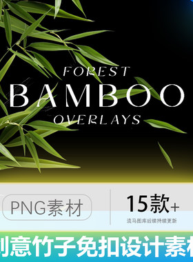 创意简约高清竹叶竹子竹林叠加背景元素图片PNG免扣设计素材模板