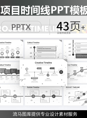 国外高端简约时尚项目时间线时间轴图表图形展示PPT设计素材模板