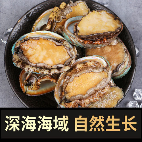 鲜冻鲍鱼特大个新鲜海捕超大活体鲍鱼捞饭渤海贝类海鲜水产包邮 - 封面