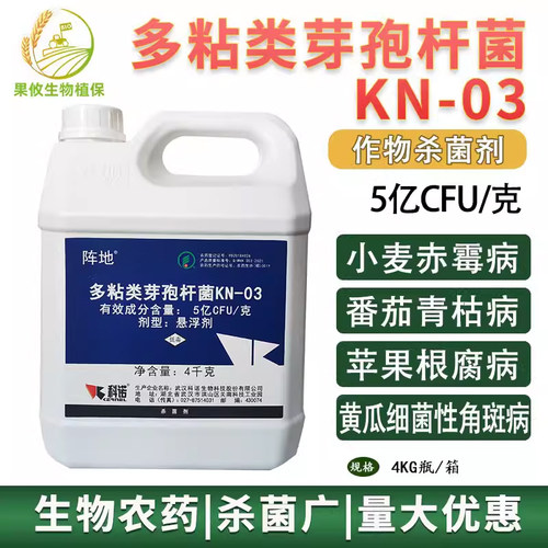 科诺阵地多粘类芽孢杆菌根部病害
