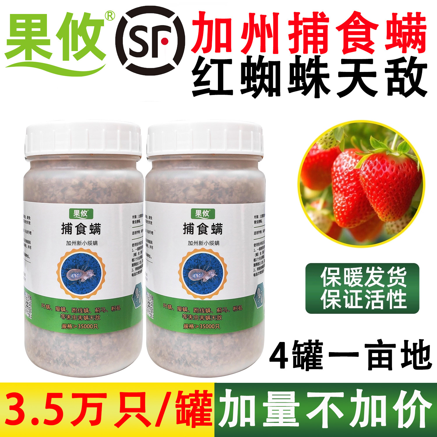 果攸捕食螨补食螨 加州新小绥螨 草莓红蜘蛛白蜘蛛蓟马天敌袋罐装