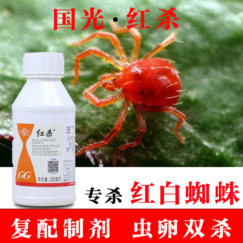 国光红杀月季花卉柑橘红白蜘蛛药