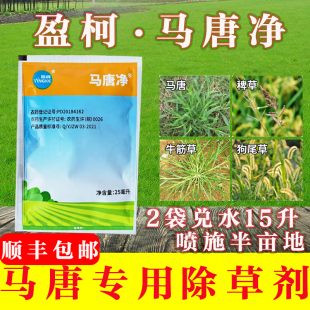 盈柯马唐净二氯喹啉酸草坪除草剂除马唐稗草狗尾草尖叶草死草烂根