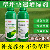婚礼球场草坪快速增绿剂一喷绿草皮枯萎发黄染色剂工程验收复绿