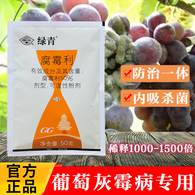 国光绿青50%腐霉利杀菌剂葡萄水果灰霉病花卉草坪腐霉枯萎病农药