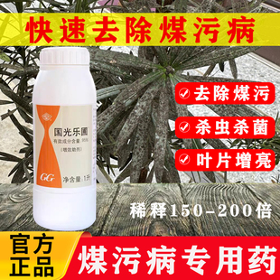 国光乐圃矿物油增助效剂烟煤病专用蚧壳虫红蜘蛛白粉病农药煤污病