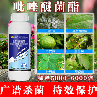 植轻松30%吡唑醚菌酯褐斑病杀菌剂月季 花卉多肉叶斑病炭疽病花药