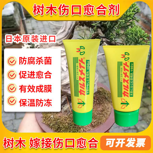 日本富士植物伤口愈合剂树木盆景