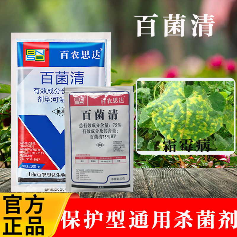 百农思达百菌清花卉霜霉病杀菌剂图片