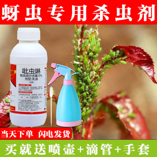 吡虫啉杀虫剂药花卉蚜虫蓟马