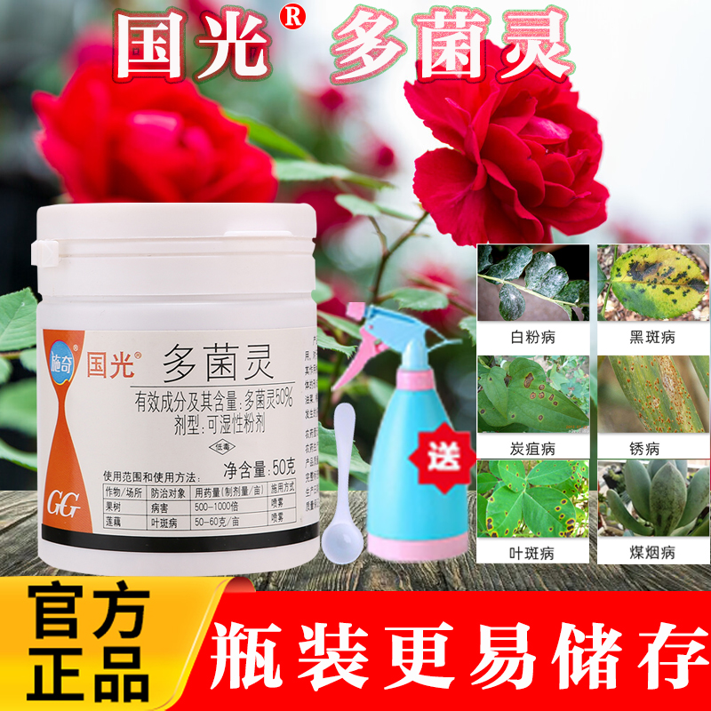 国光多菌灵杀菌剂多茵灵月季花药