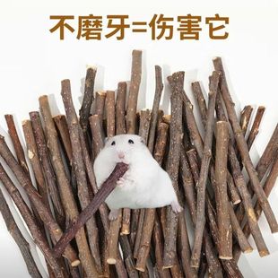 仓鼠磨牙棒苹果枝甜竹兔子小龙猫专用木金丝熊补钙树枝苹果枝