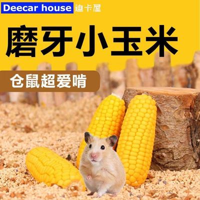 仓鼠零食玉米磨牙棒小玉米金丝熊花枝鼠兔子龙猫豚鼠营养磨牙零食
