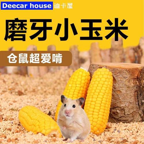 仓鼠零食玉米磨牙棒小玉米金丝熊花枝鼠兔子龙猫豚鼠营养磨牙零食