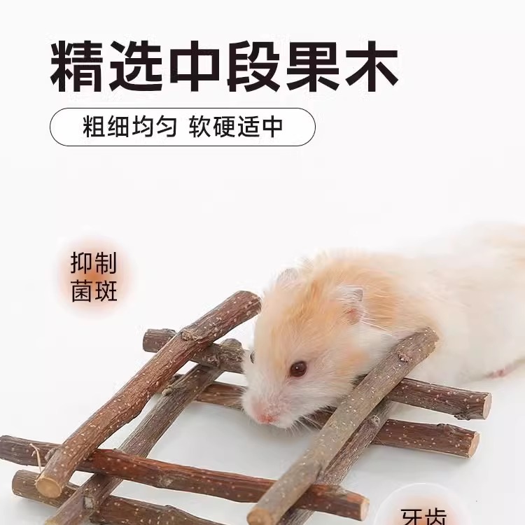 仓鼠磨牙宠物兔子咬木龙猫荷兰猪金丝用品烘干甜竹苹果豚鼠树枝