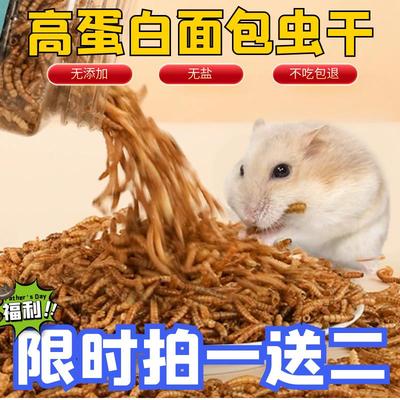 罐装面包虫干卢丁鸡鸟食乌龟金丝熊刺猬零食八哥黄粉虫仓鼠用品
