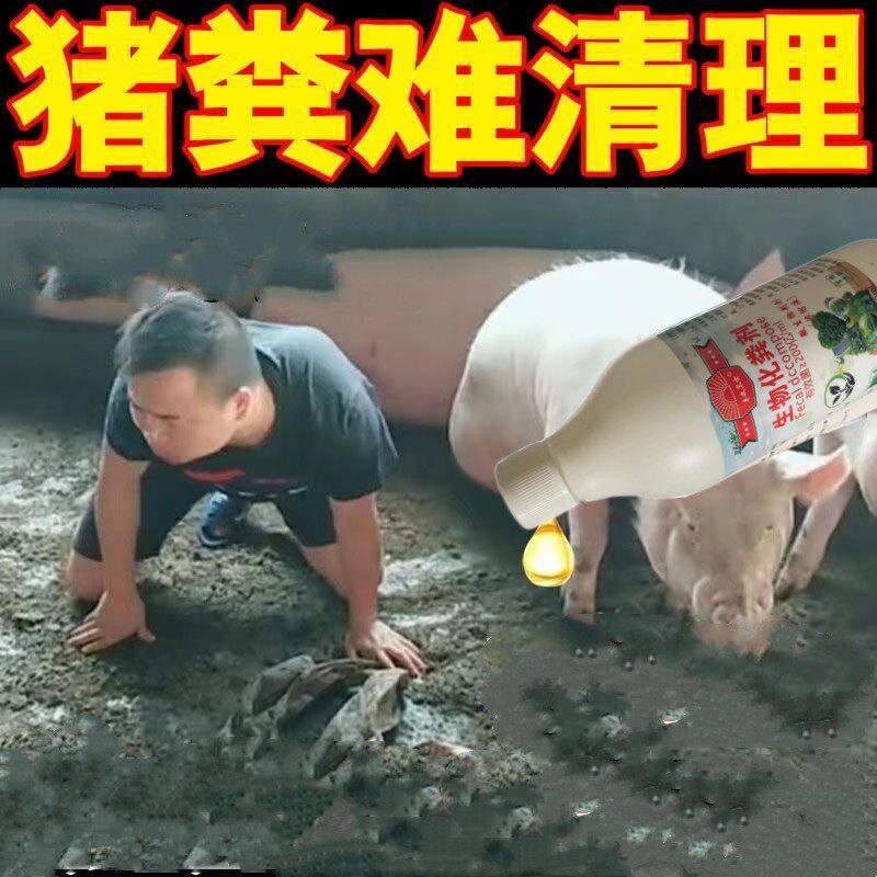 厕所测所则所养殖场化粪剂下水道旱厕专用分解剂化粪除臭除异味剂