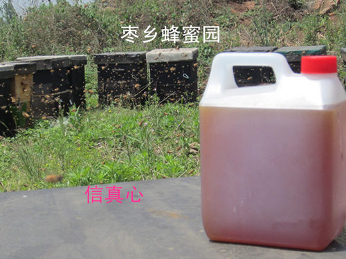 枣花蜜七斤小桶成熟益母草包邮