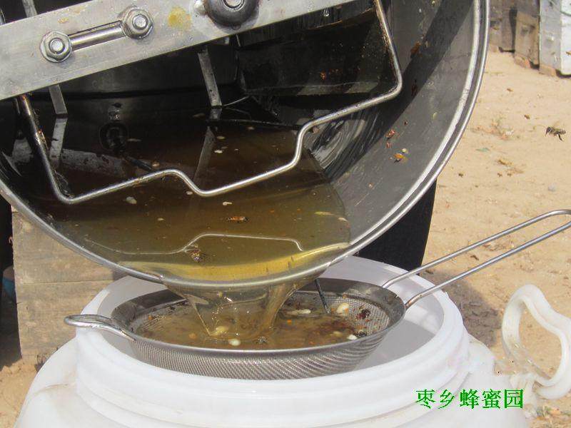 包邮成熟天然山东槐花蜜