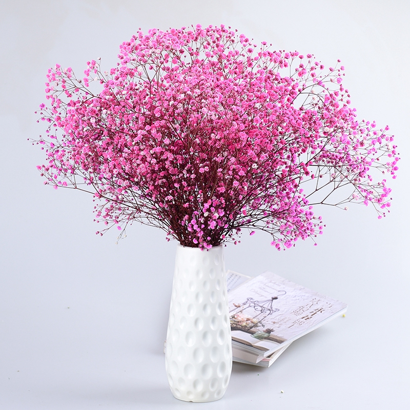 永生花生日家居小清新客厅插风摆设11月03日最新优惠