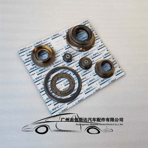 AL4 DPO 自动变速器活塞修理包 适用于标致 雪铁龙 雷诺
